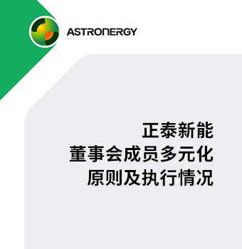 新利体育董事会成员多元化原则及执行情况